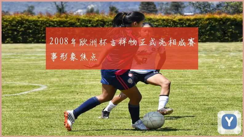 2008年欧洲杯吉祥物正式亮相成赛事形象焦点